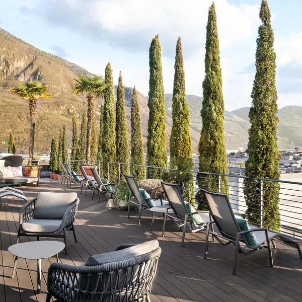 Terrace with chairs and tall trees next to a mountain