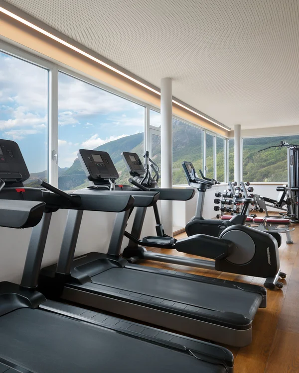 Palestra moderna con attrezzi vicino a grandi finestre con vista sulle montagne